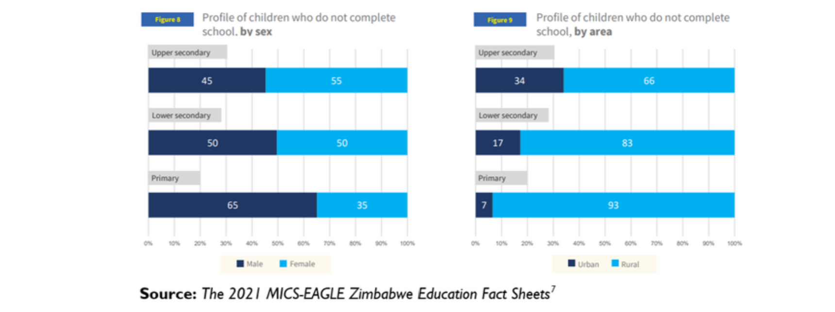 Zimbabwe school dropouts